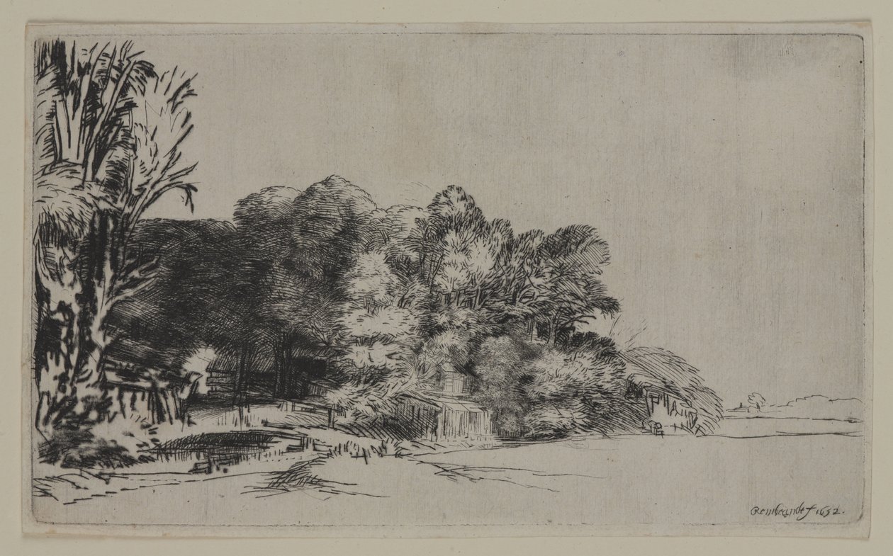 Grupo de árboles con una vista, 1652 de Pierre Auguste Renoir