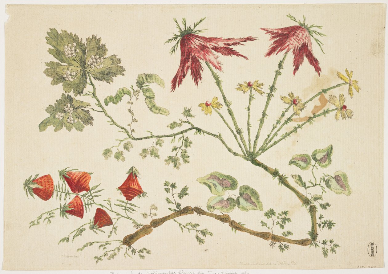 Ornamento, Chinoiserie, Flores, 30 de junio de 1760 de Pierre Charles Canot