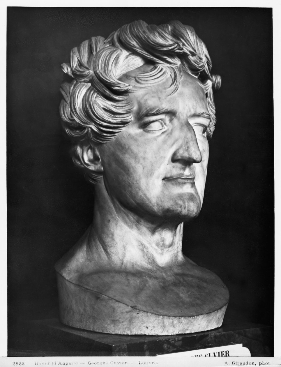 Georges Cuvier, 1833 (mármol) de Pierre Jean David d