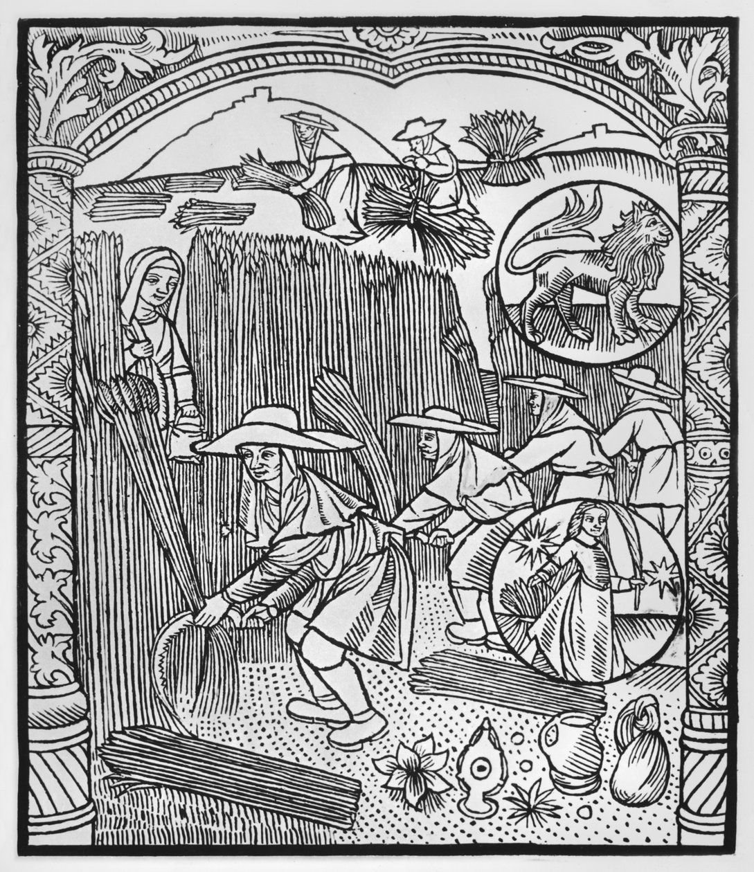 Agosto, cosecha, Leo, ilustración del 