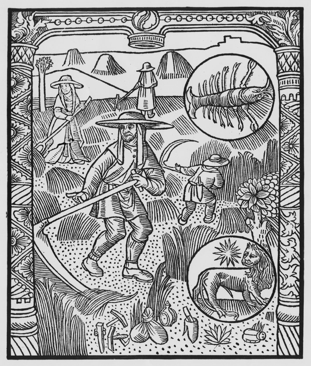 Julio, siega de heno, Cáncer, ilustración del 