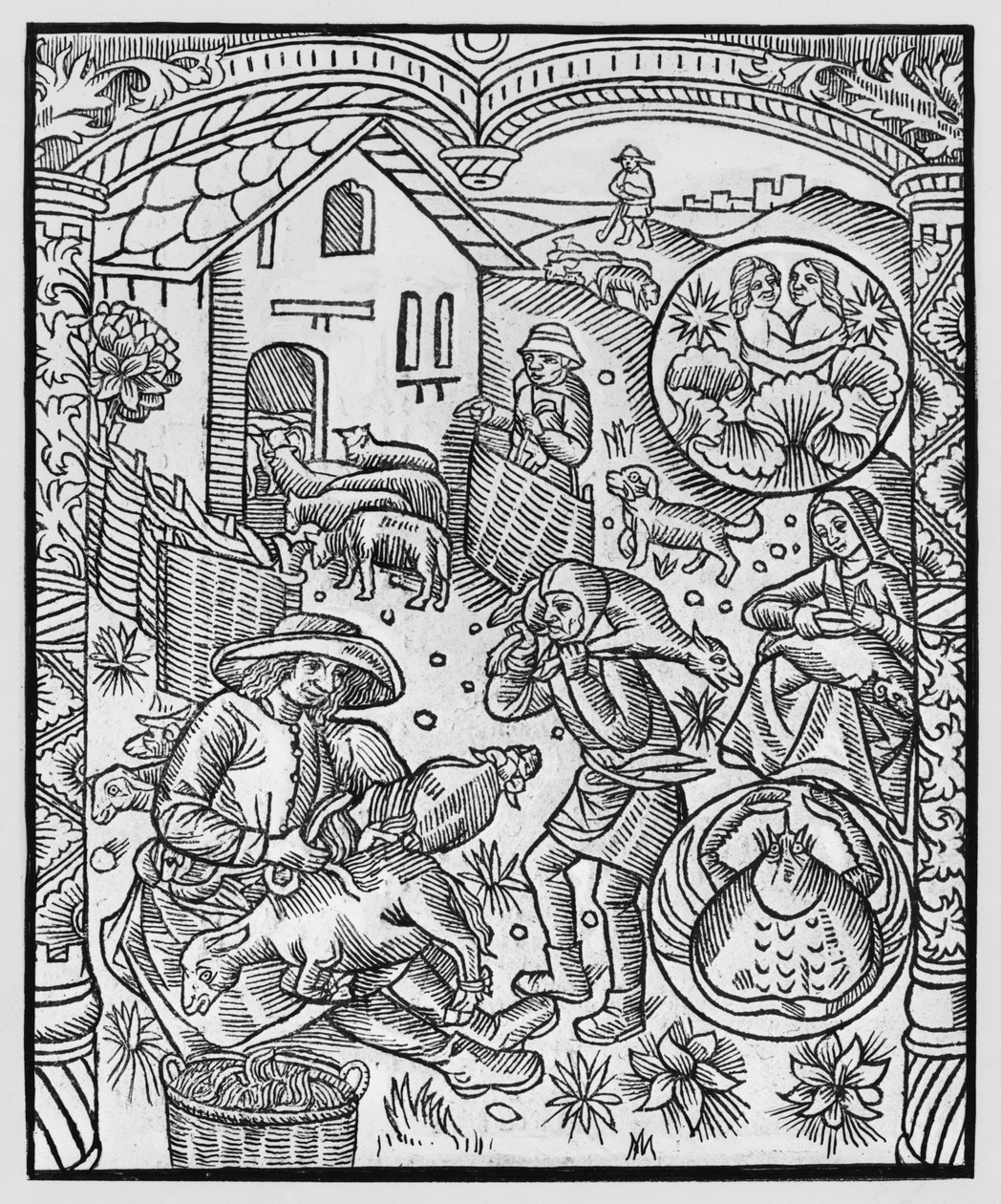 Junio, esquila de ovejas, Géminis, ilustración del 