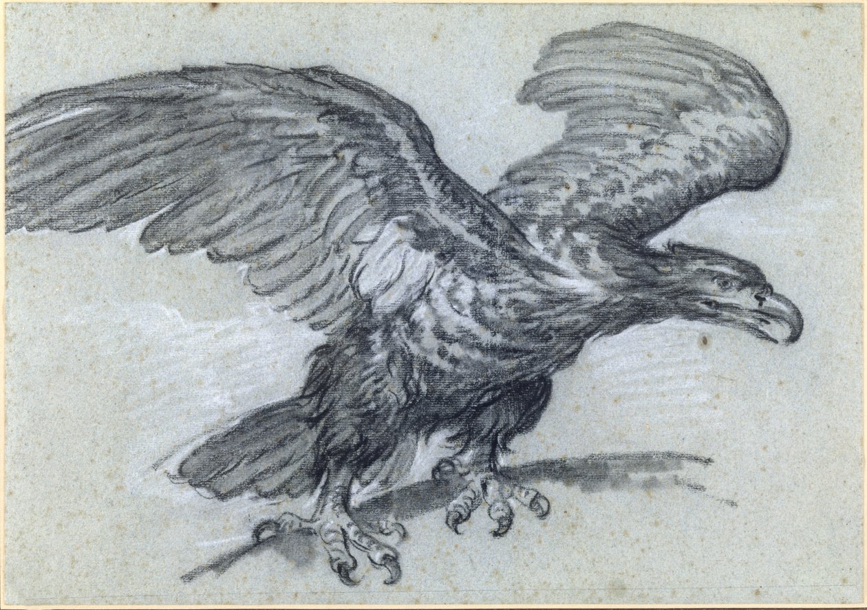 Un águila, 1811 de Pierre Paul Prudhon