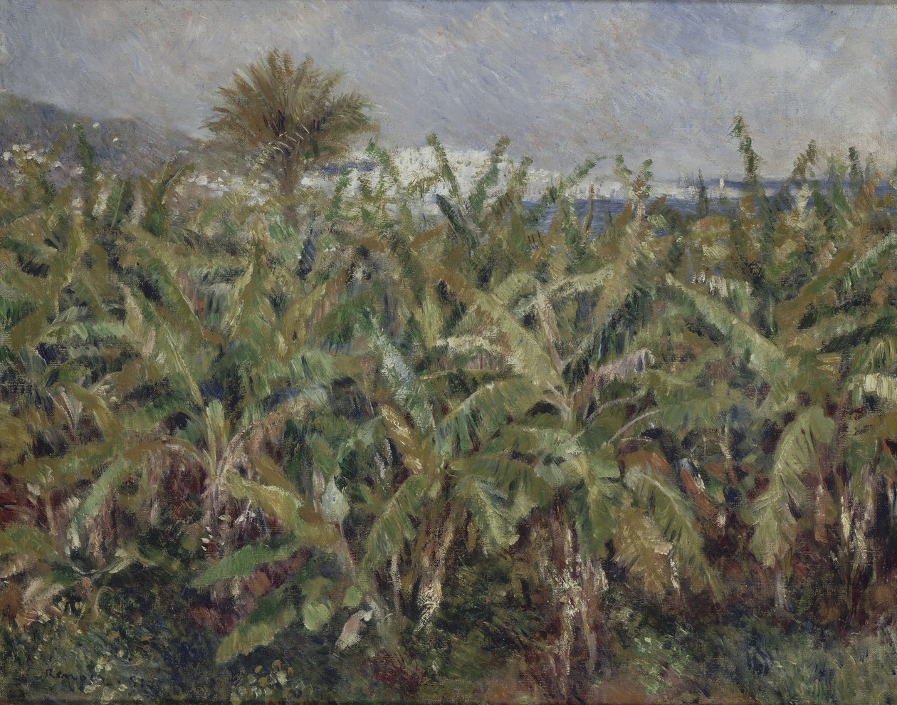 Campo de plataneras de Pierre-Auguste Renoir