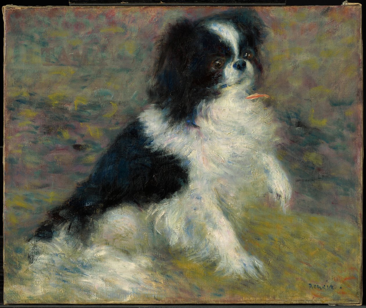 Tama, el perro japonés de Pierre-Auguste Renoir