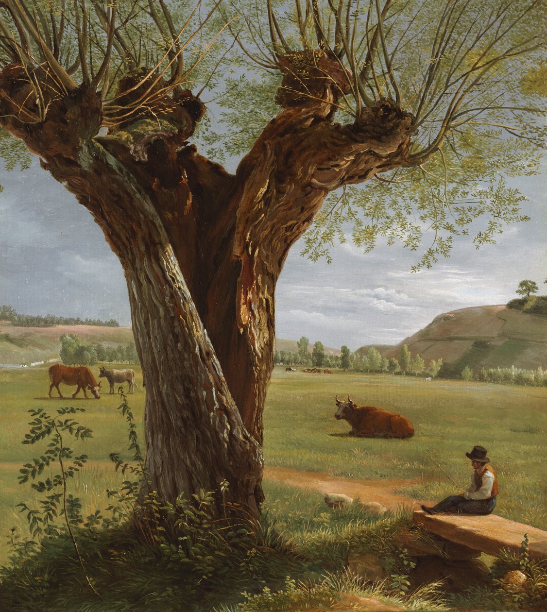 Pollard Willow, después de 1804 (óleo sobre papel, montado sobre lienzo) de Pierre Jean Boquet
