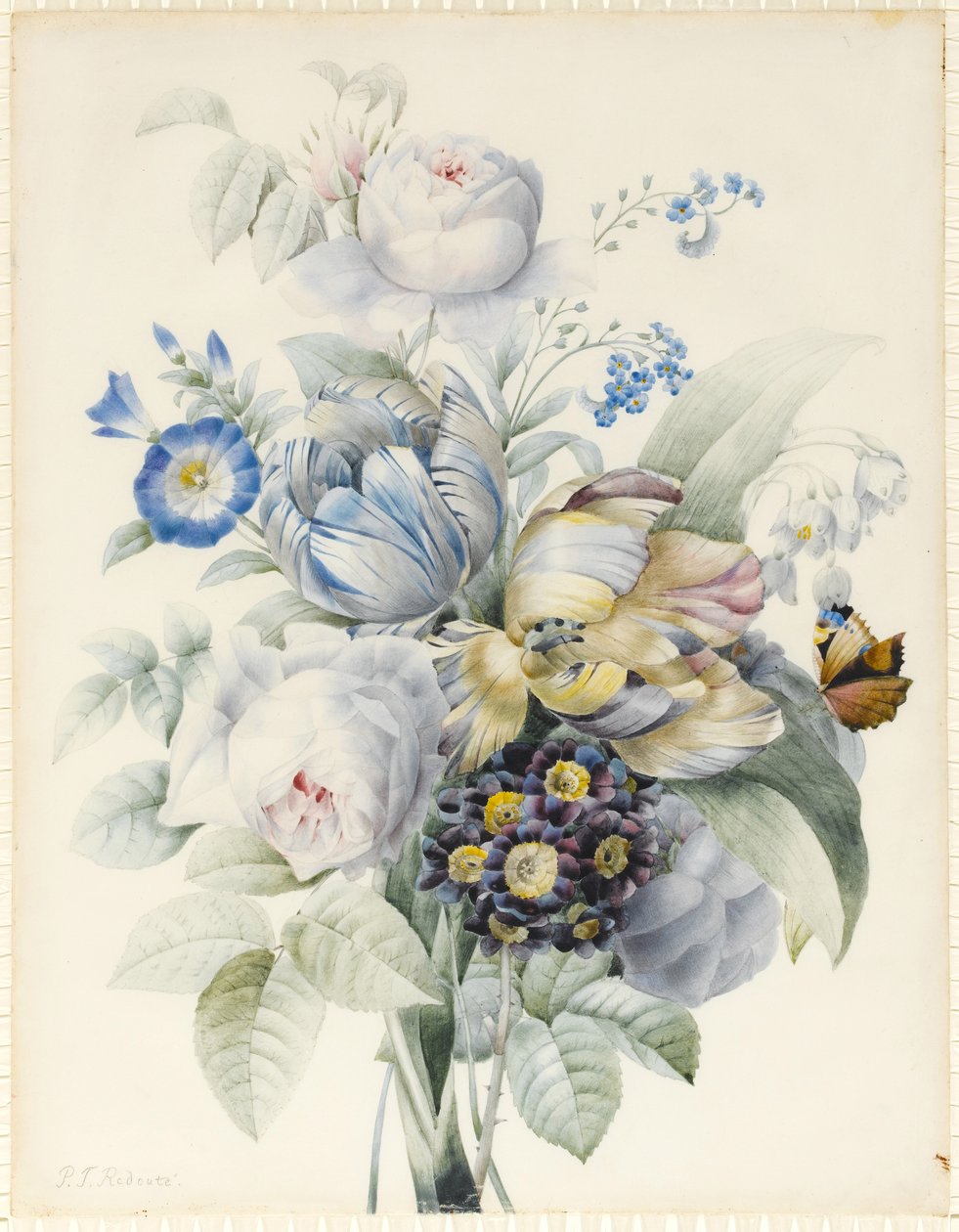 Un ramo de flores incluyendo rosas, tulipanes loro, nomeolvides, campanillas de invierno, aurícula e ipomea con una mariposa imaginaria de Pierre Joseph Redouté