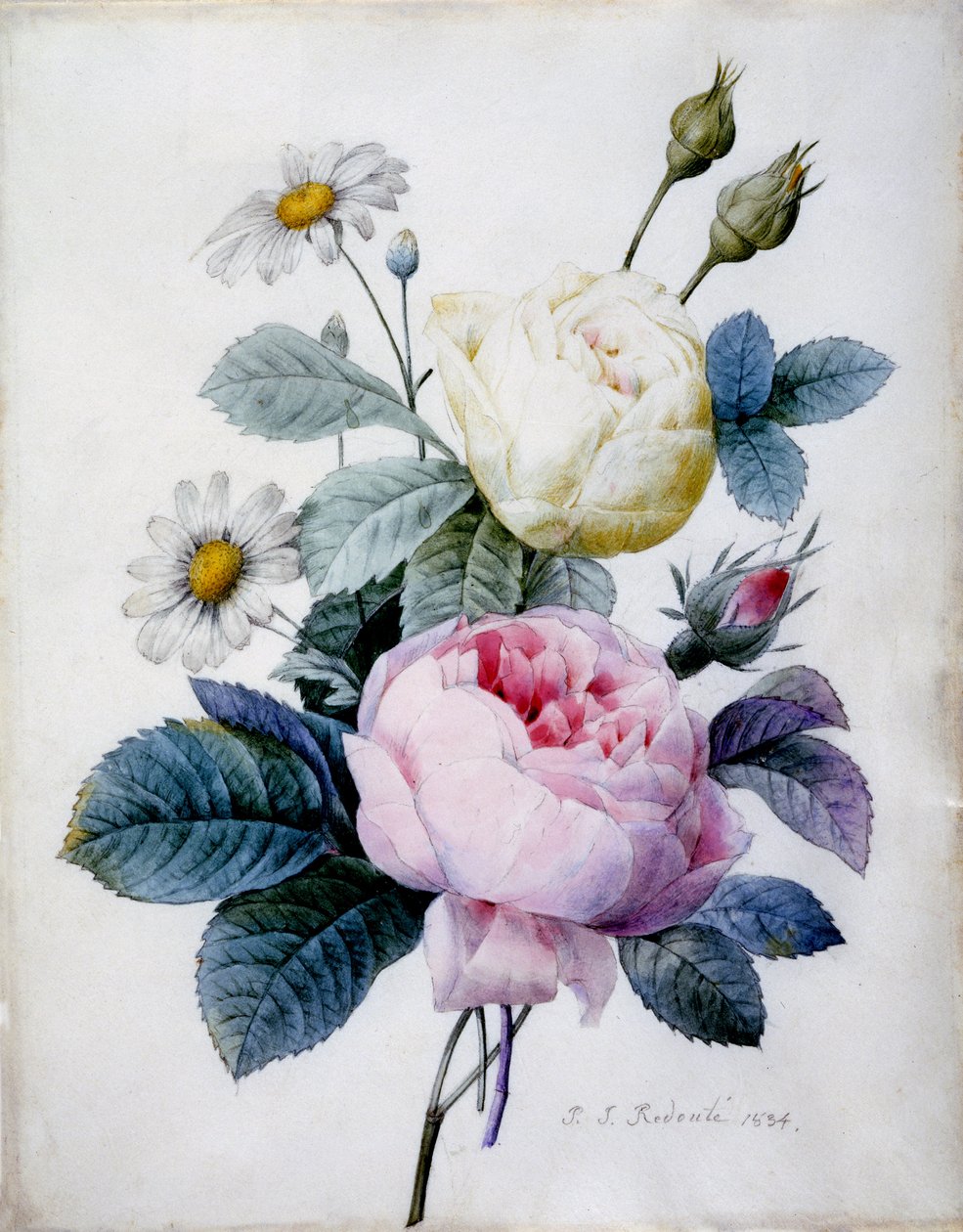 Ramo de rosas con margaritas, publicado en 1834 de Pierre Joseph Redouté