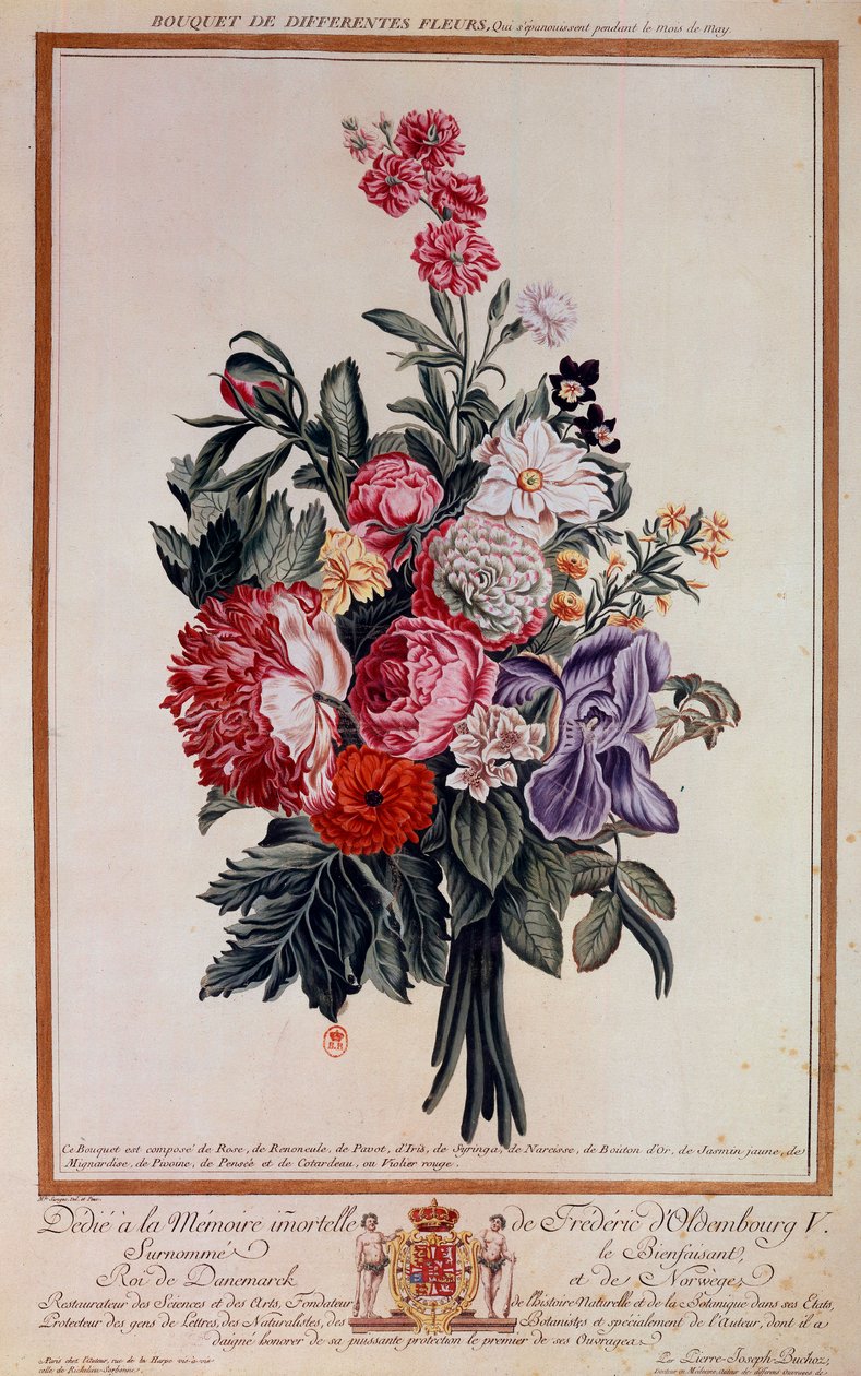 Ramo de flores mezcla de Pierre Joseph Buchoz