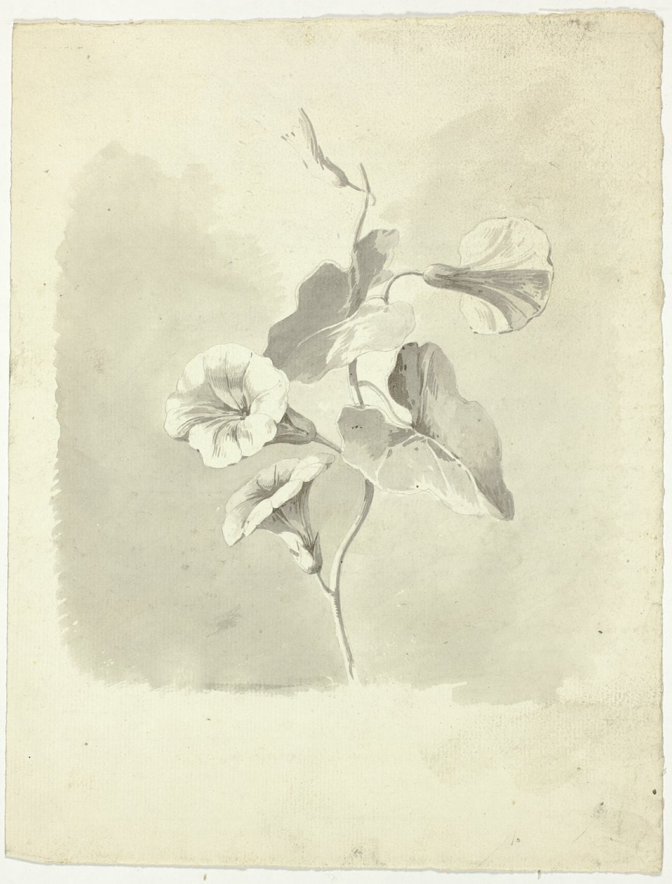 Glorias de la mañana de Pierre Antoine Mongin