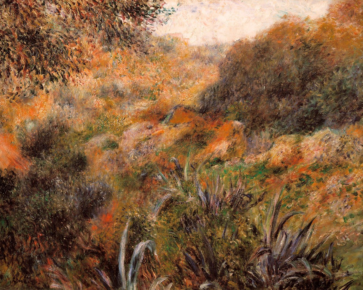 Paisaje argelino, el barranco de la mujer salvaje de Pierre Auguste Renoir