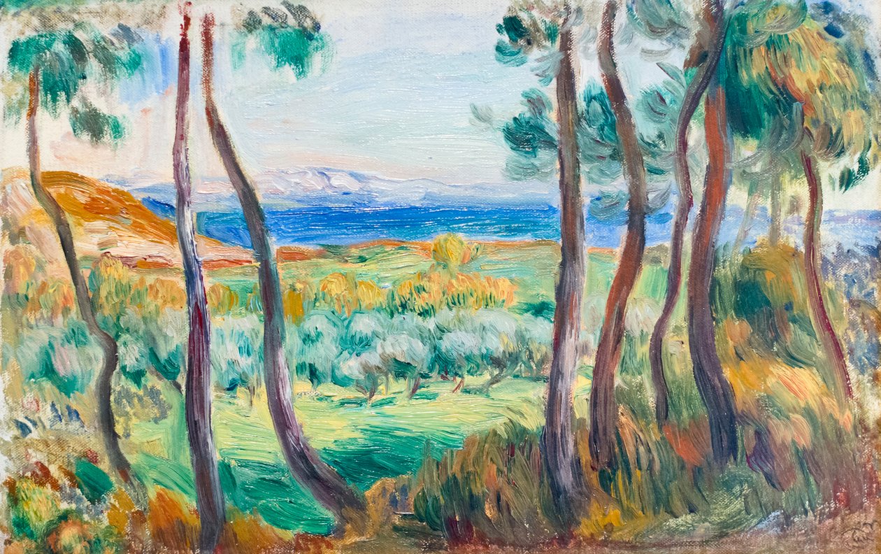 Pinos cerca de Cagnes, c. 1910 (óleo sobre lienzo) de Pierre Auguste Renoir