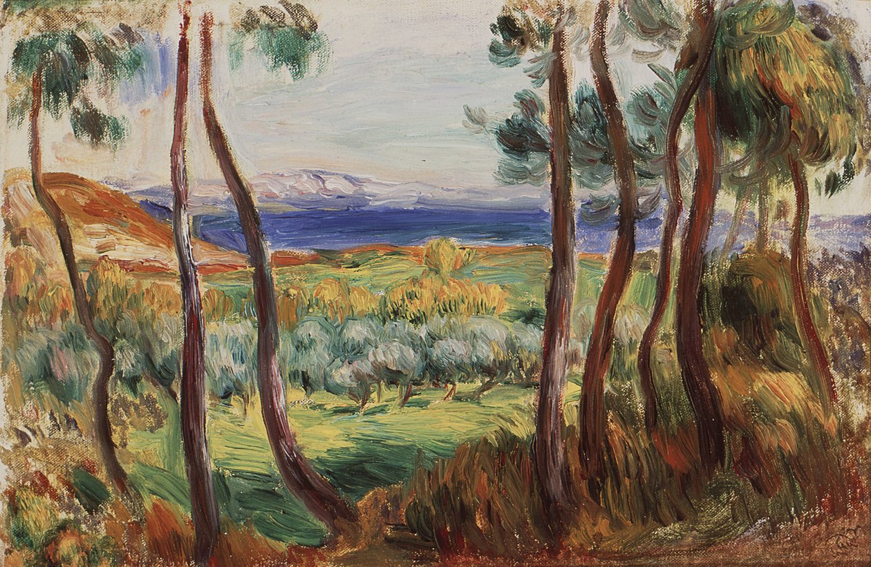 Pinos en los alrededores de Cagnes, c. 1910 de Pierre Auguste Renoir