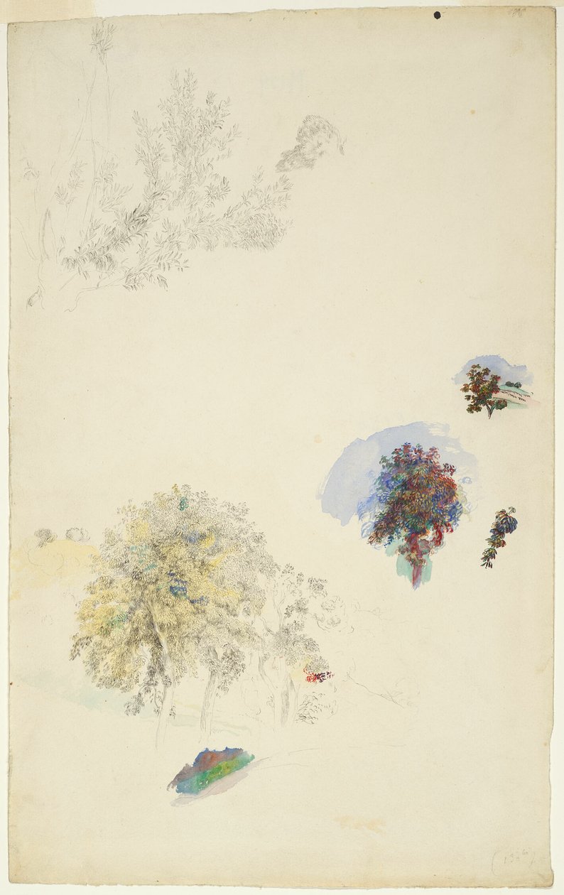 Estudios de árboles y follaje de Pierre Auguste Renoir