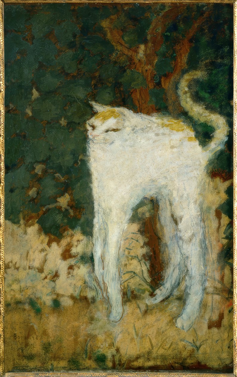 El gato blanco de Pierre Bonnard