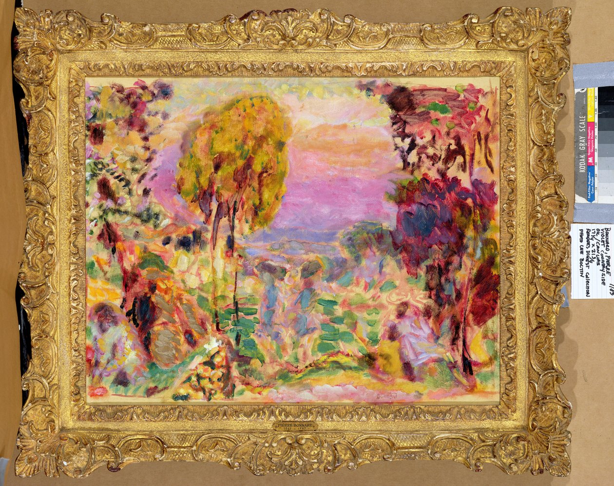 Campo violeta de Pierre Bonnard