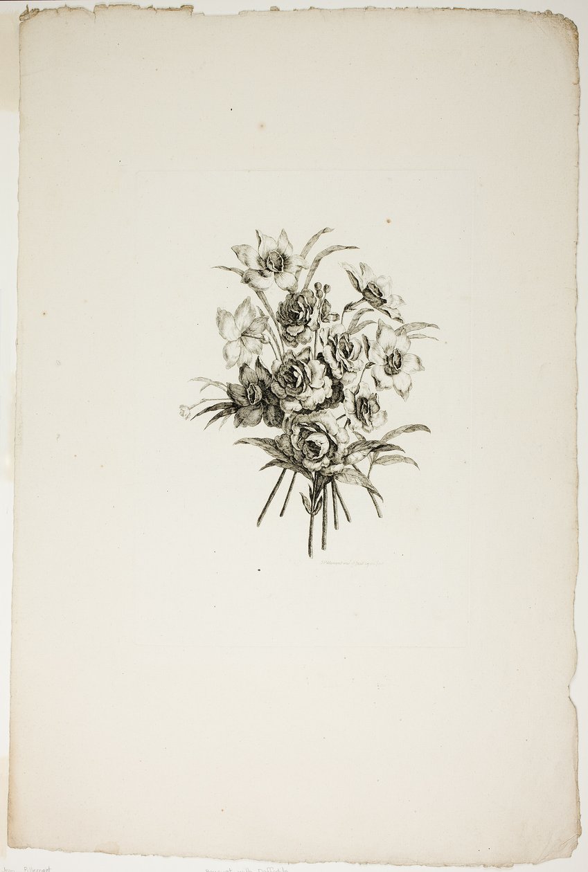 Ramo con narcisos, de la Colección de diferentes ramos de flores, inventado y dibujado por Jean Pillement y grabado por P. C. Canot de Pierre Charles Canot