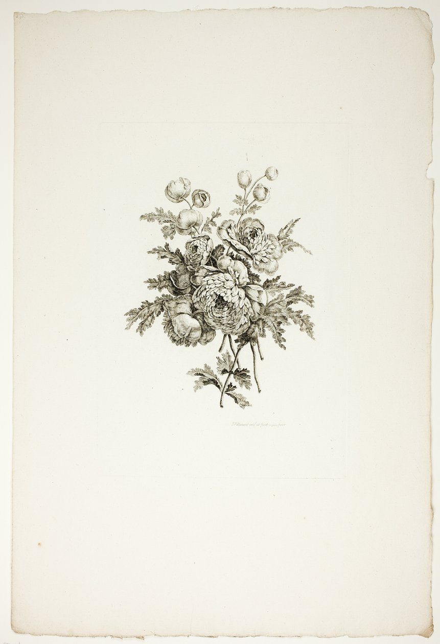 Ramo con peonías, de la colección de diferentes ramos de flores, inventado y dibujado por Jean Pillement y grabado por P. C. Canot de Pierre Charles Canot