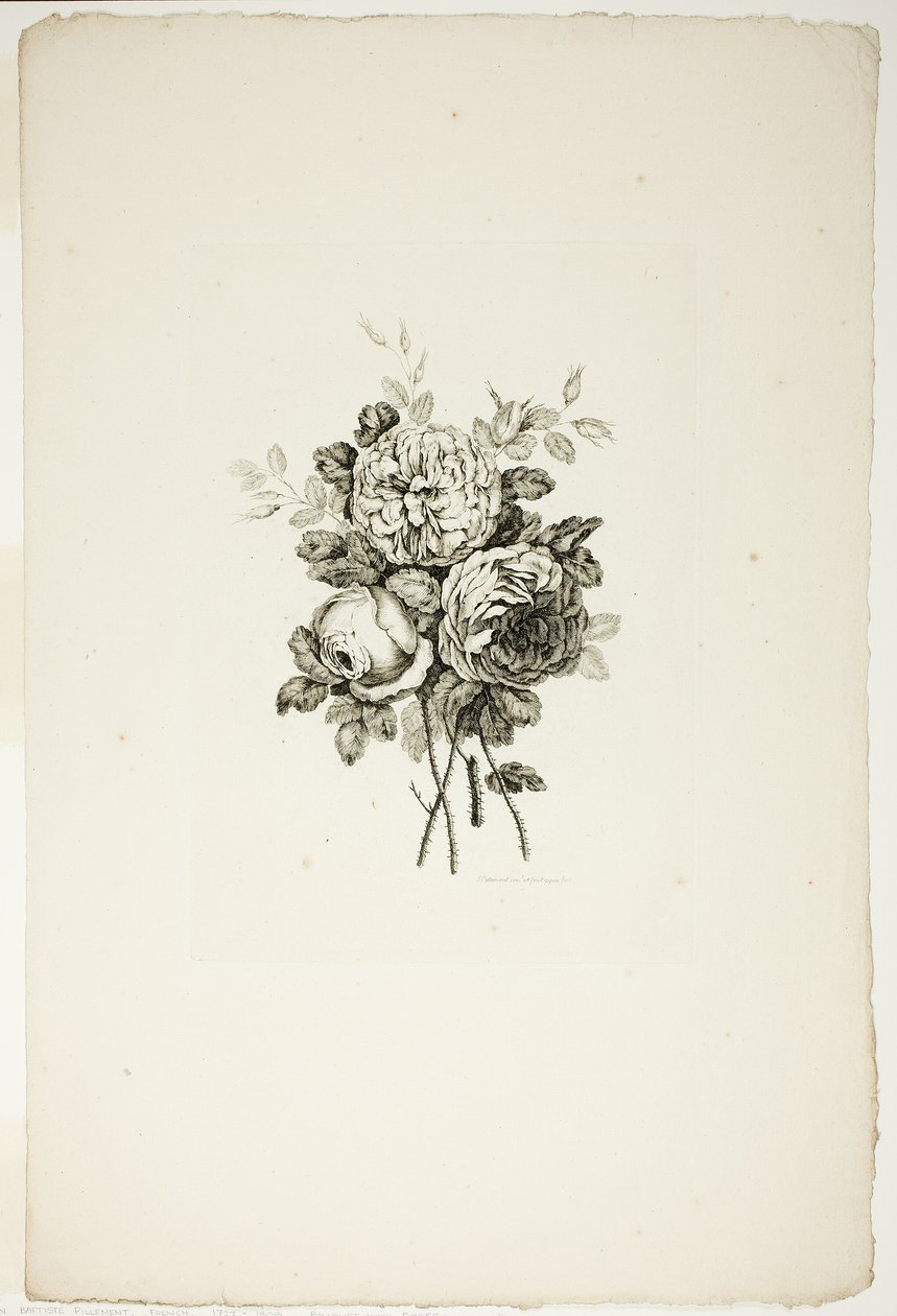 Ramo con rosas, de la Colección de diferentes ramos de flores, inventado y dibujado por Jean Pillement y grabado por P. C. Canot de Pierre Charles Canot