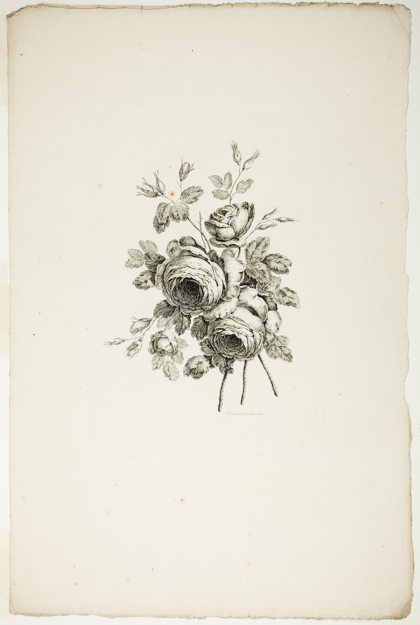 Ramo con rosas, de la Colección de diferentes ramos de flores, inventado y dibujado por Jean Pillement y grabado por P. C. Canot de Pierre Charles Canot