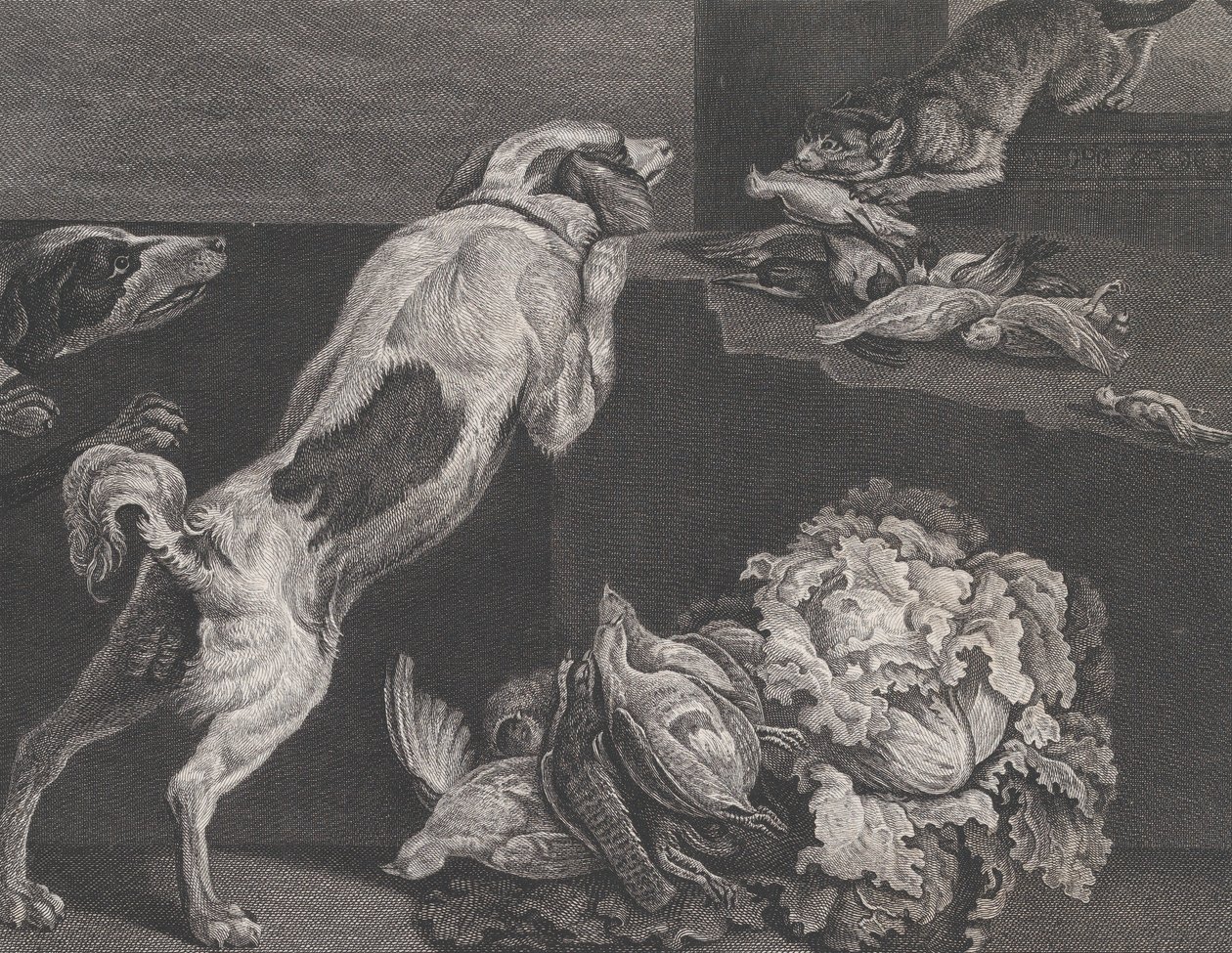 Perros y naturaleza muerta, 1778 de Pierre Charles Canot