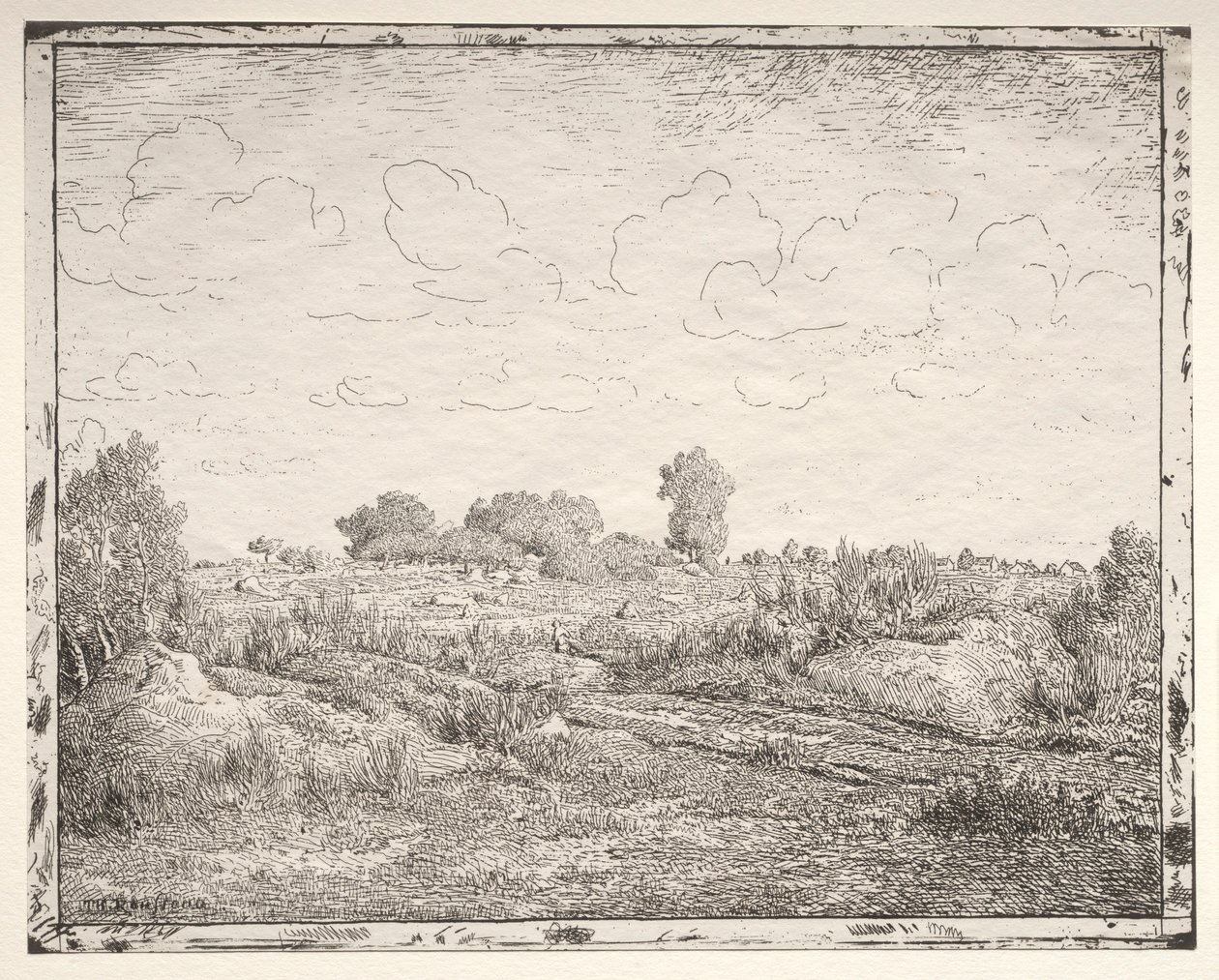La llanura de la planta en Biau de Pierre Etienne Theodore Rousseau
