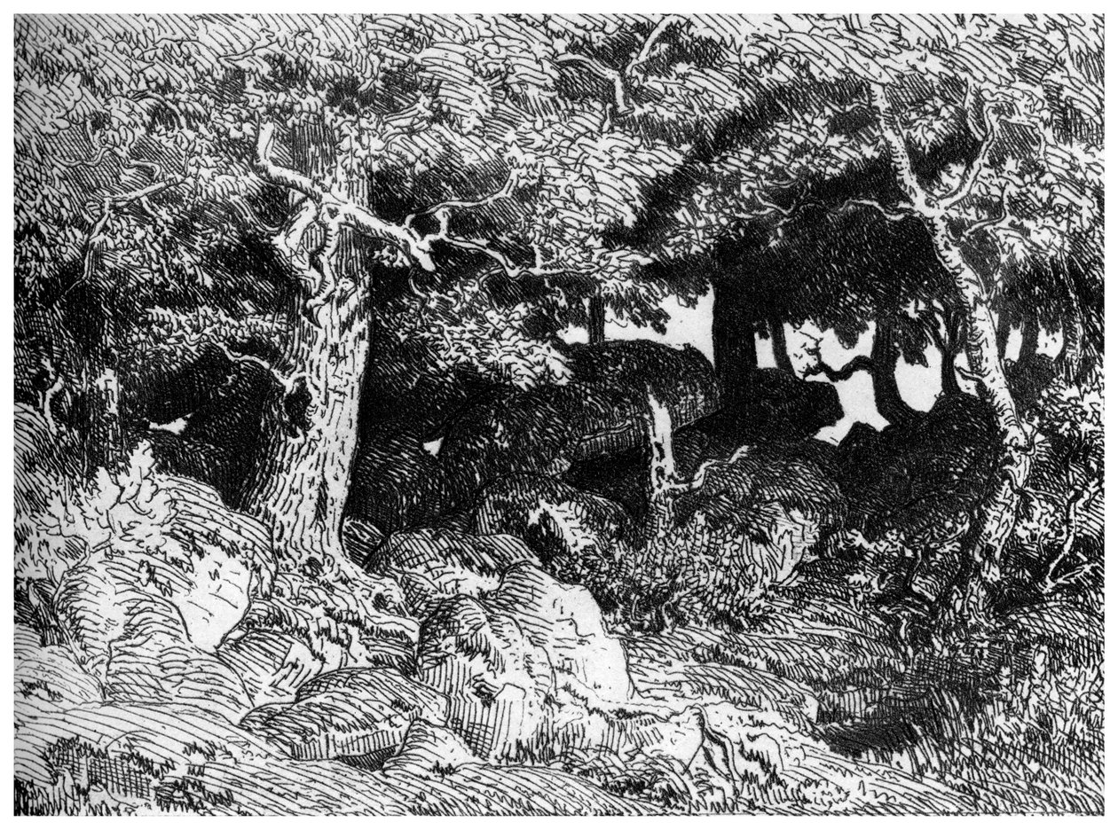 Les Chenes de Roche de Pierre Etienne Theodore Rousseau