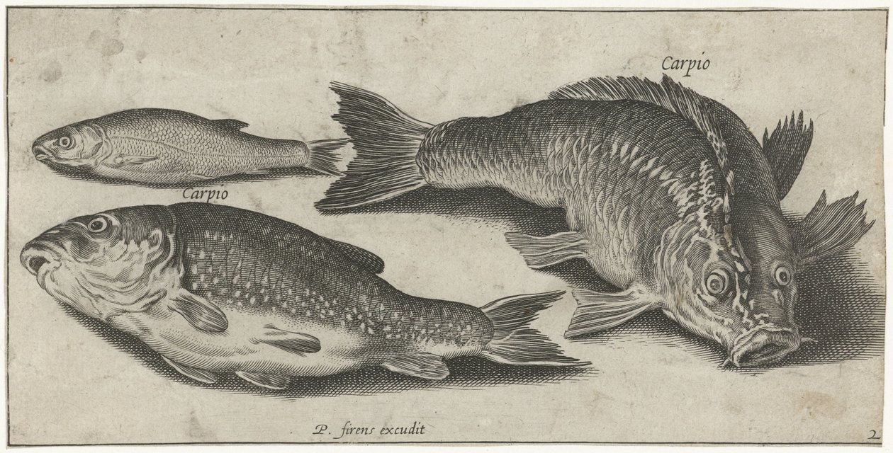 tres carpas Pesca (título de la serie) Iconos de Piscium vivae (título de la serie) de Pierre Firens