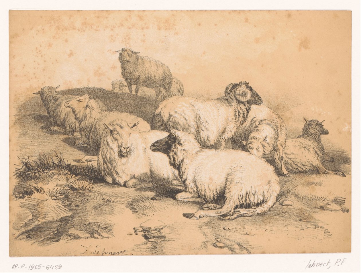 Rebaño de ovejas de Pierre Frédéric Lehnert
