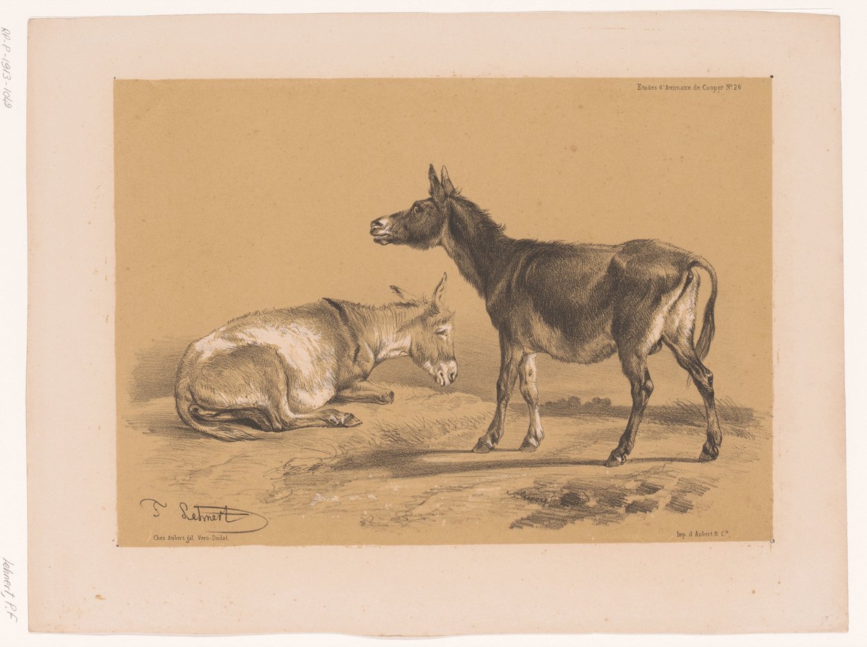 Estudio de dos burros
Estudios sobre animales de Cooper (título de la serie)
Études d