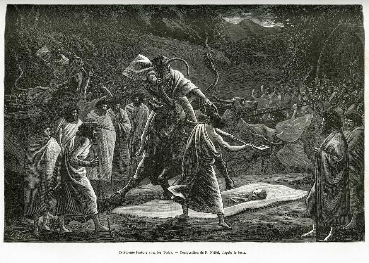 Una ceremonia funeraria para los Todas, una pequeña comunidad pastoral en la meseta de Nilgiri (Sur de India), durante el funeral, se sacrifican ganado. Grabado por P.Fritel, para ilustrar el recital recuerdos de un viaje a los Nilgherries, por Madame Jans de Pierre Fritel
