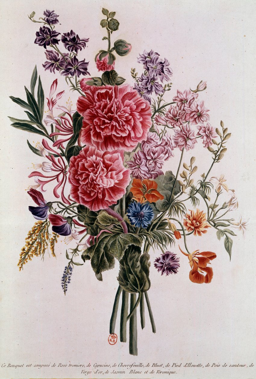 Ramo compuesto con rosas, litografía de Pierre Joseph Buchoz, siglo XVIII, París de Pierre Joseph Buchoz