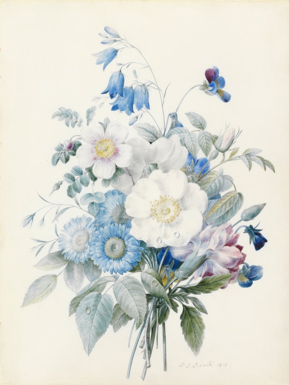 Ásteres azules, rosa spinosissima (híbrida), campanilla, violas, clavel y una rosa silvestre. de Pierre Joseph Redouté