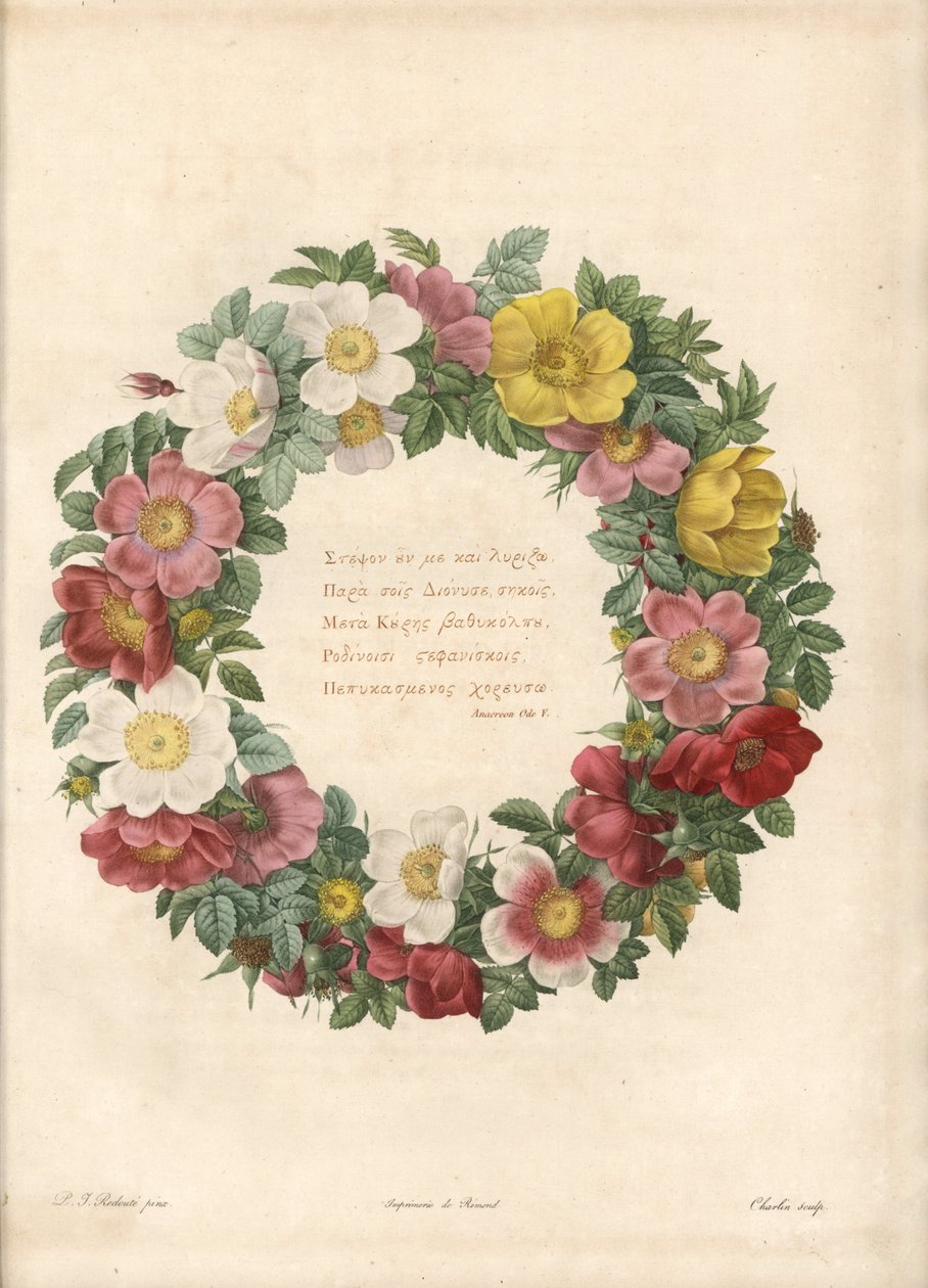 Corona de rosas con un lema griego - Aguafuerte de Charlin, basada en una ilustración de Pierre Joseph Redoute (1759-1840), de Les Roses de Pierre Joseph Redouté