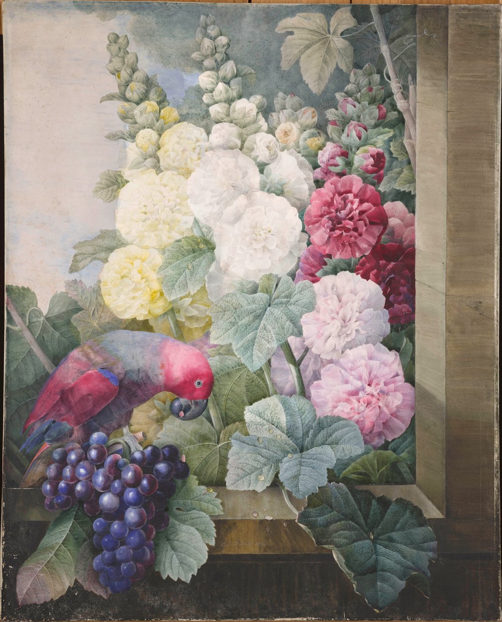 Malvarrosas, uvas y un loro de Pierre Joseph Redouté