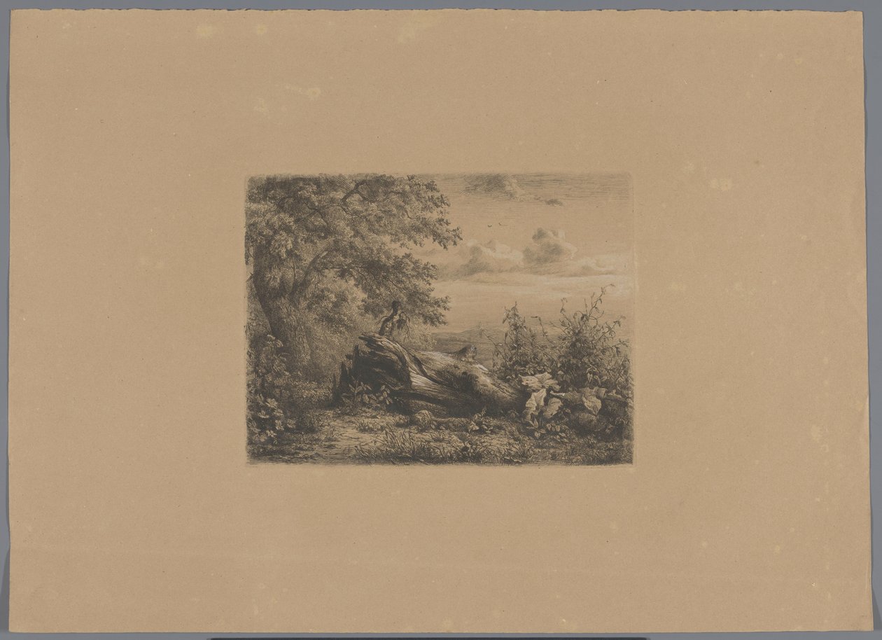 Árbol caído en la linde de un bosque
Cinco pruebas de grabado (título de la serie) de Pierre Louis Dubourcq (workshop of)