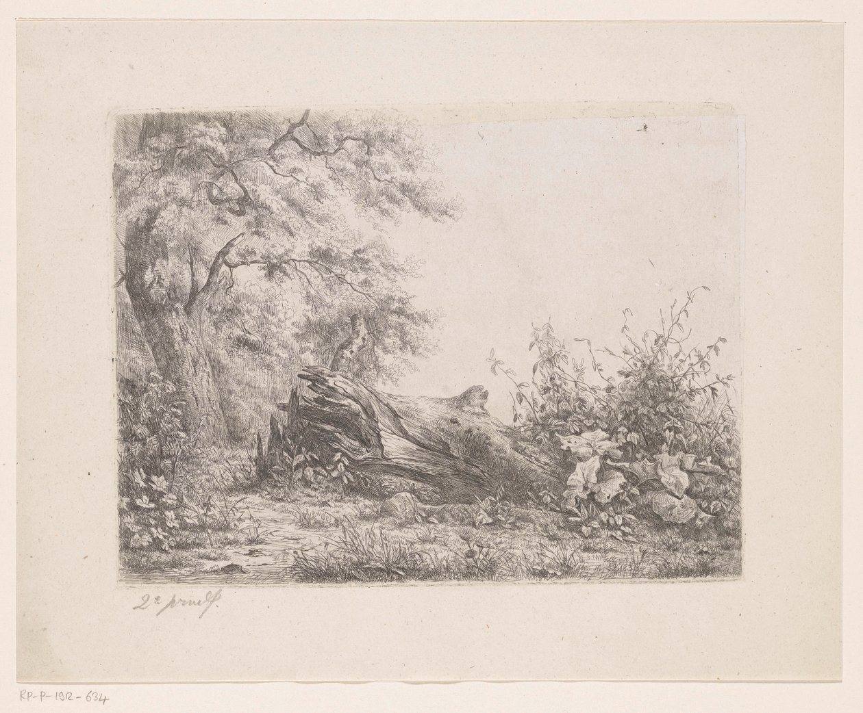 Árbol caído al borde del bosque Cinco pruebas de aguafuerte (título de la serie) de Pierre Louis Dubourcq
