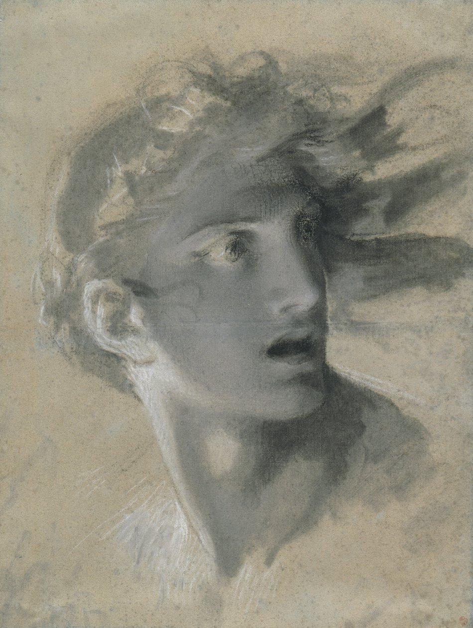 Cabeza de Venganza de Pierre Paul Prud