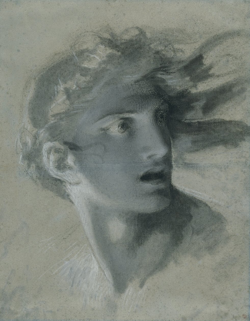 Cabeza de la venganza, c.1804 de Pierre Paul Prudhon
