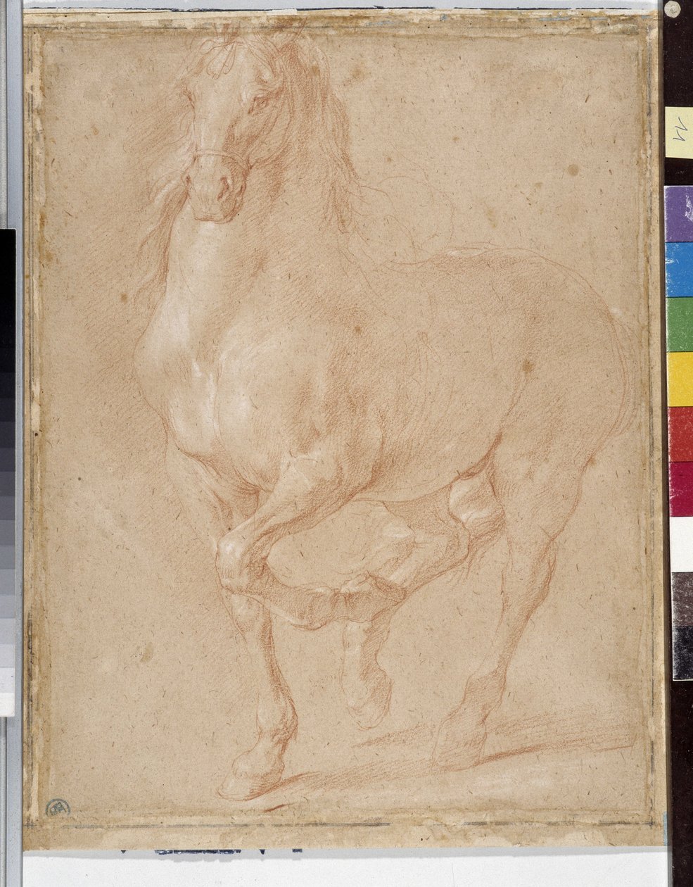 Estudio de caballo de Pierre Puget