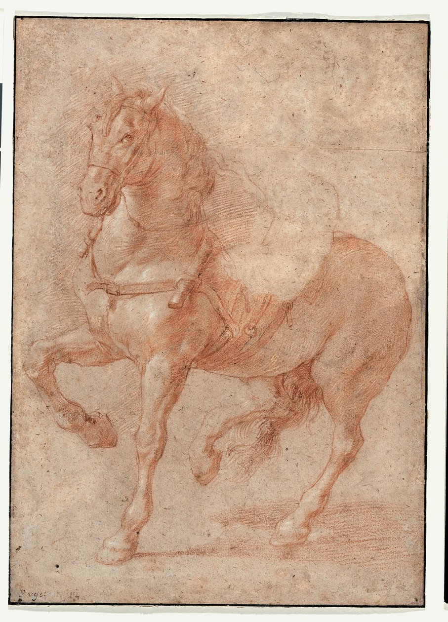 Estudio de Bucéfalo para el Relieve "Alejandro y Diógenes" de Pierre Puget