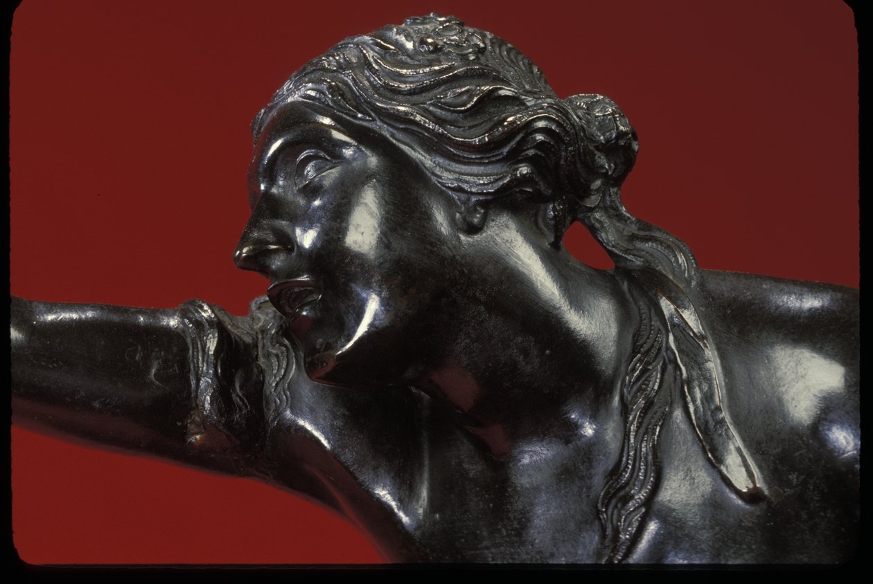 El rapto de Helena de Pierre Puget