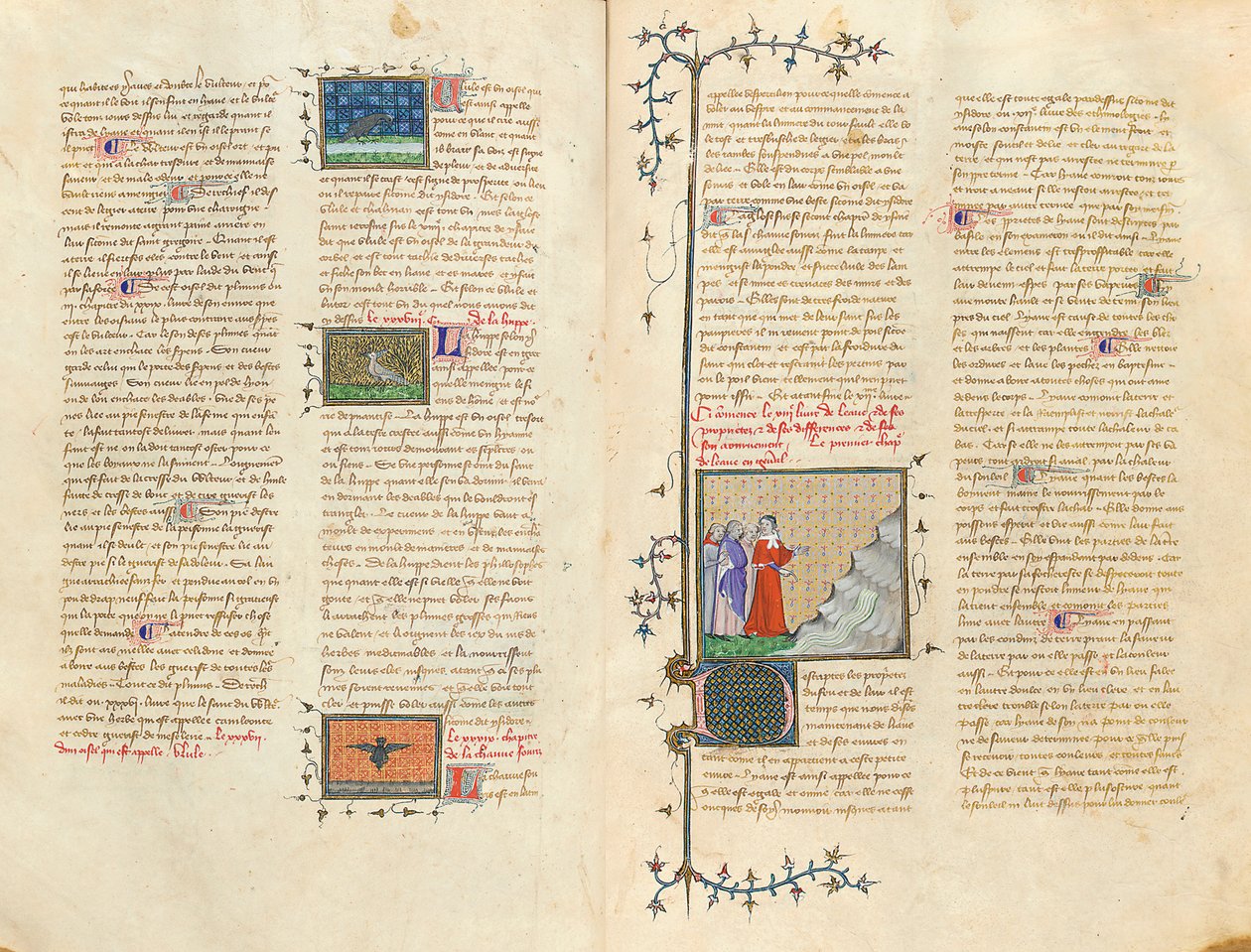 Página de "De Proprietatibus Rerum" de Bartholomeus Anglicus, en la traducción francesa de Jean Corbechon, c.1390 de Pierre Remiet