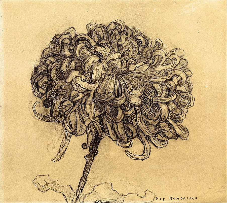 Crisantemo de Piet Mondrian