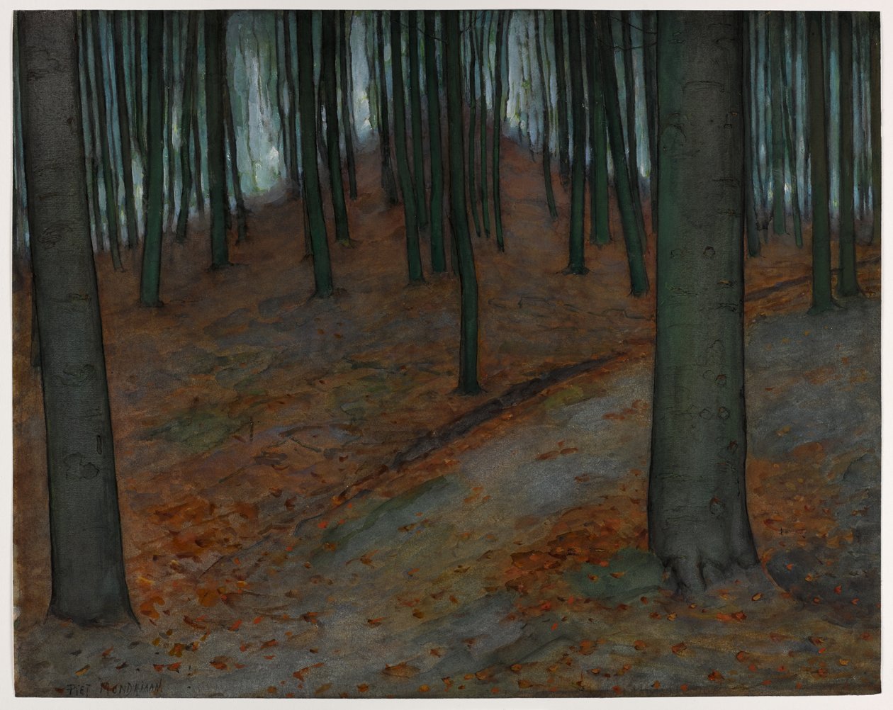 Bosque con hayas, c. 1899 de Piet Mondrian