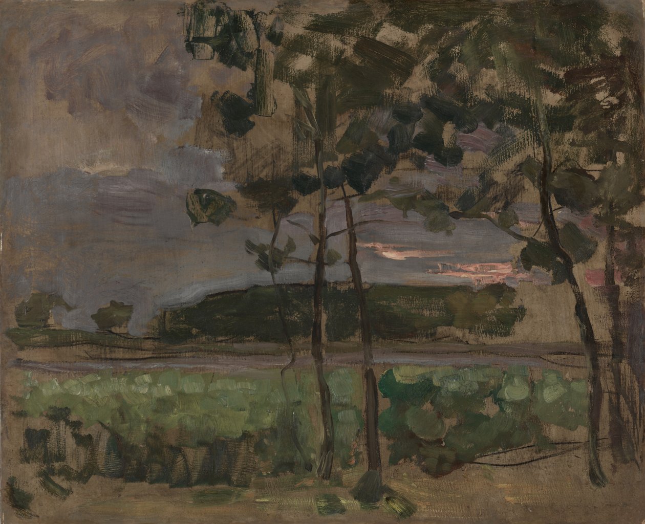 Campo con árboles jóvenes en primer plano de Piet Mondrian
