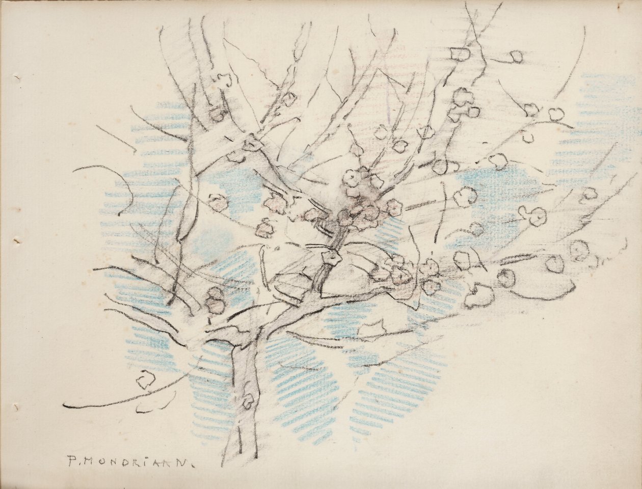 Árbol en flor, c.1917-18 (lápiz y crayón sobre papel) de Piet Mondrian
