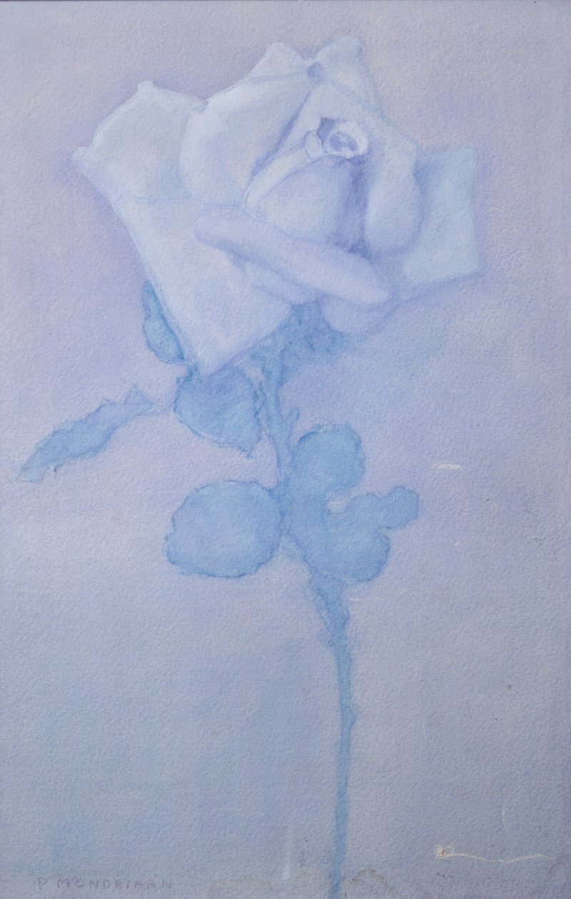 Rosa blanca de Piet Mondrian