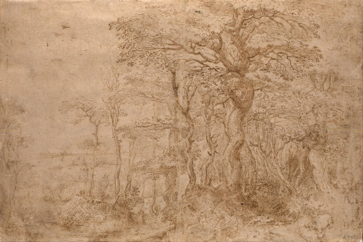Paisaje silvestre con cinco osos de Pieter Bruegel the Elder