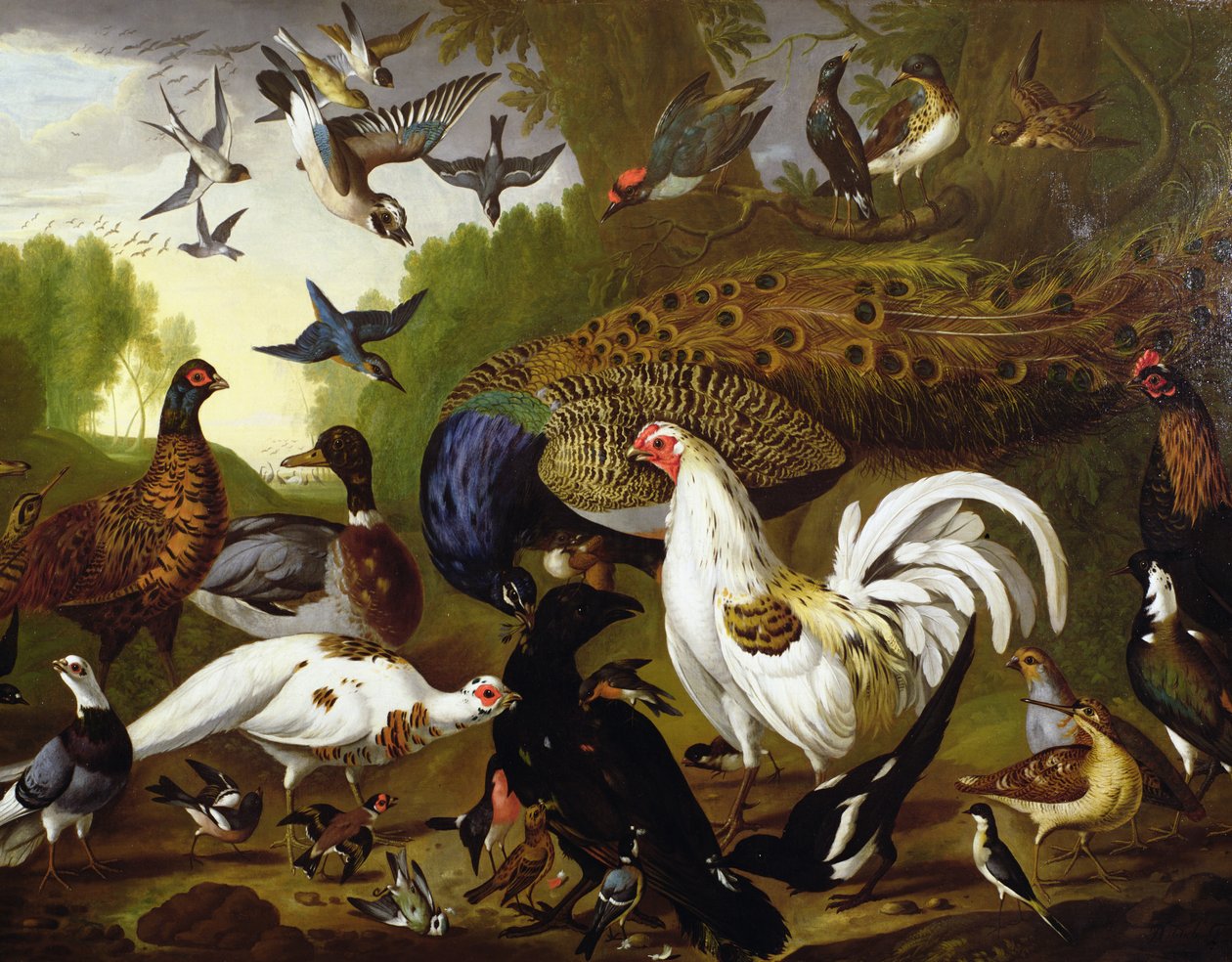 La fábula del cuervo con un pavo real, gallo, pájaro carpintero, arrendajo, becada y urraca de Pieter Casteels